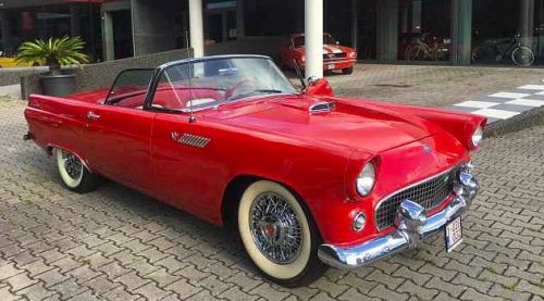 Ford Thunderbird 1955 Occasion