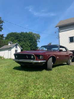 Ford Mustang 1969 Used
